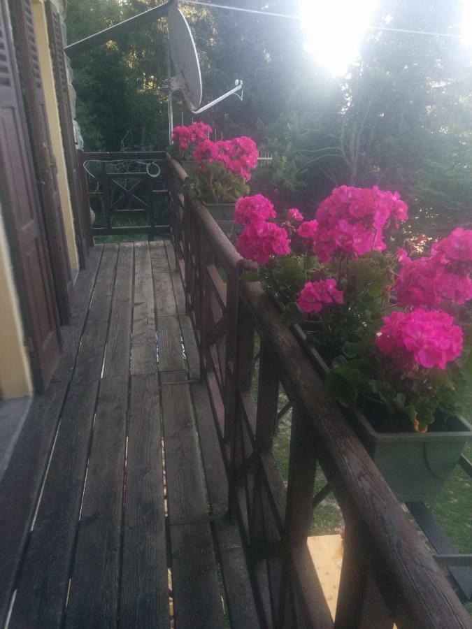 Abetina Apartment Levico Terme Exterior photo